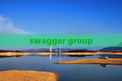 swagger group